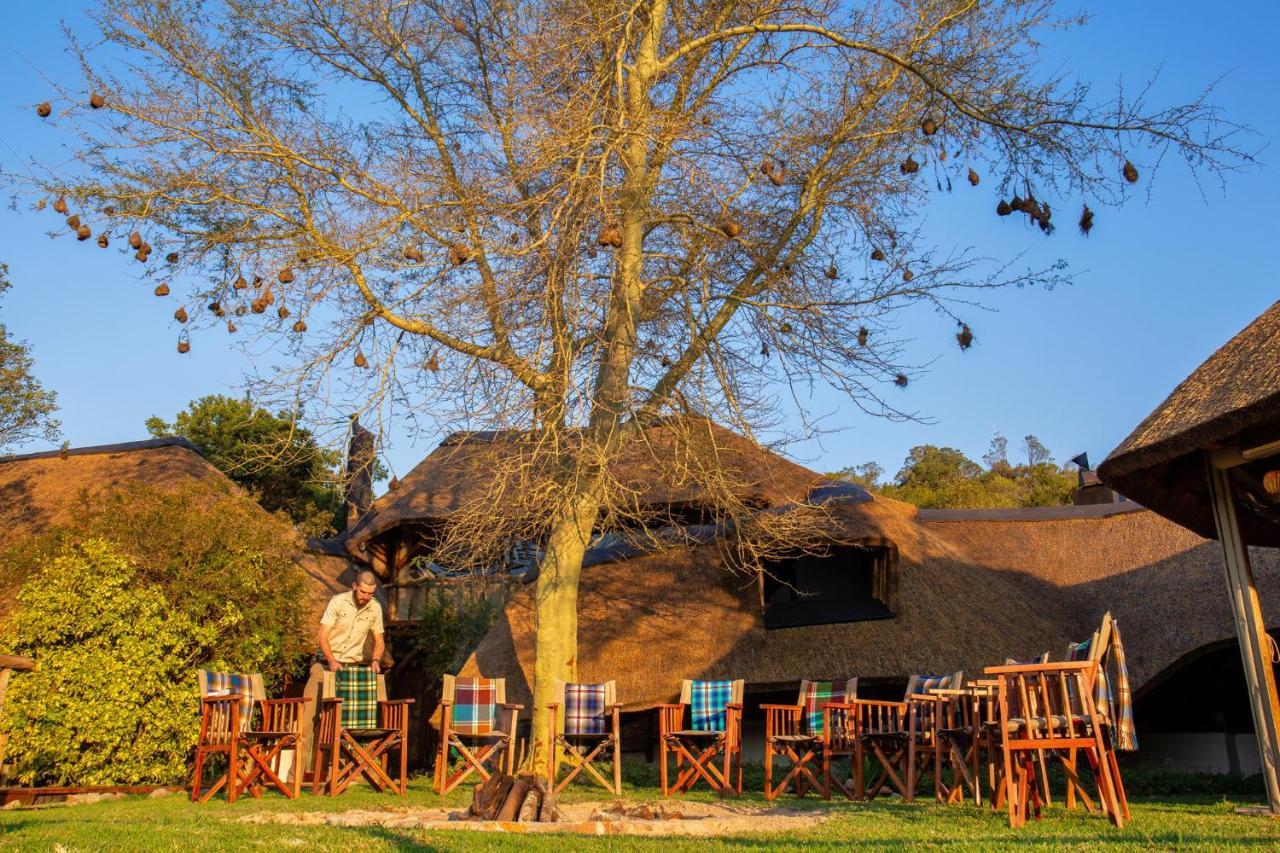Lalibela Game Reserve Mark'S Camp Grahamstown Luaran gambar