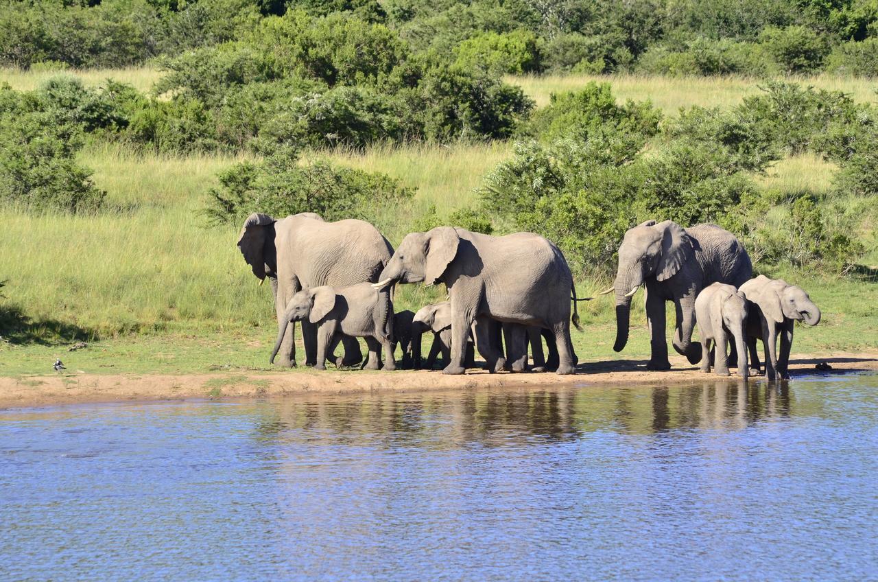 Lalibela Game Reserve Mark'S Camp Grahamstown Luaran gambar