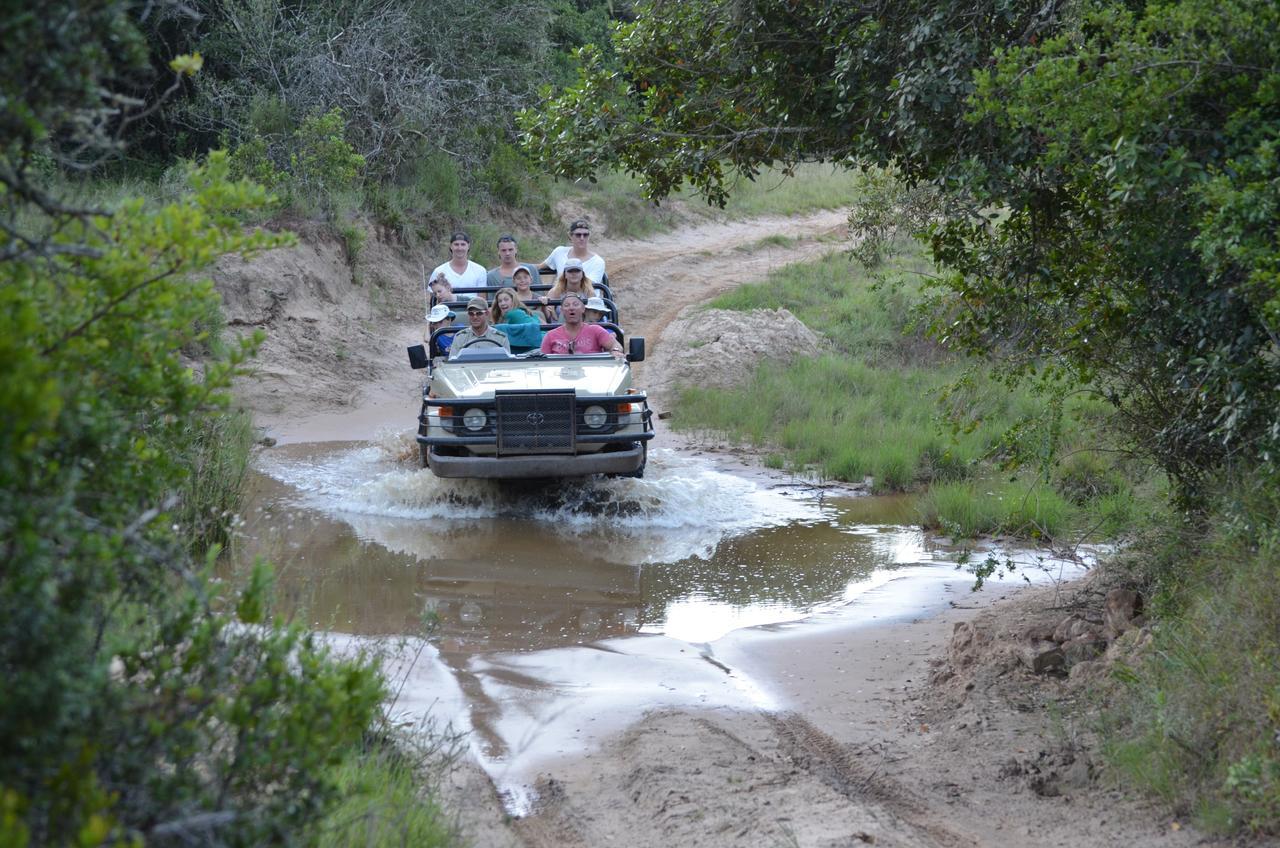 Lalibela Game Reserve Mark'S Camp Grahamstown Luaran gambar
