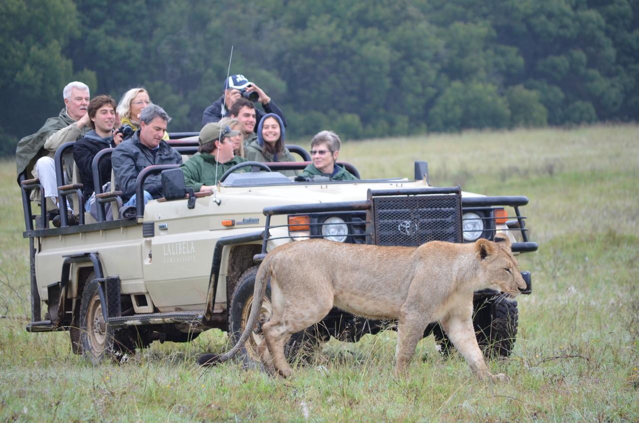 Lalibela Game Reserve Mark'S Camp Grahamstown Luaran gambar