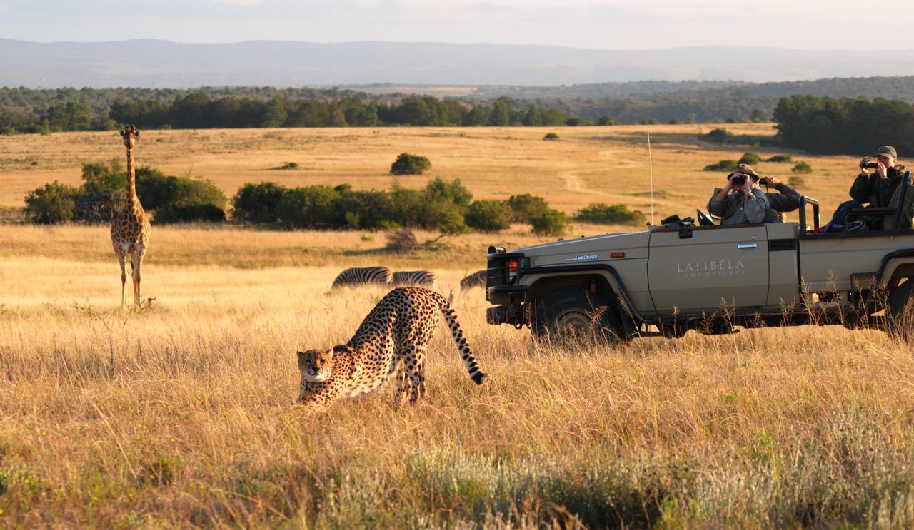 Lalibela Game Reserve Mark'S Camp Grahamstown Luaran gambar