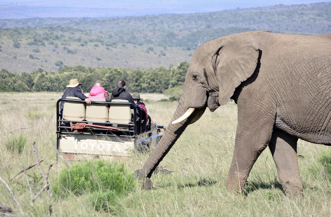 Lalibela Game Reserve Mark'S Camp Grahamstown Luaran gambar