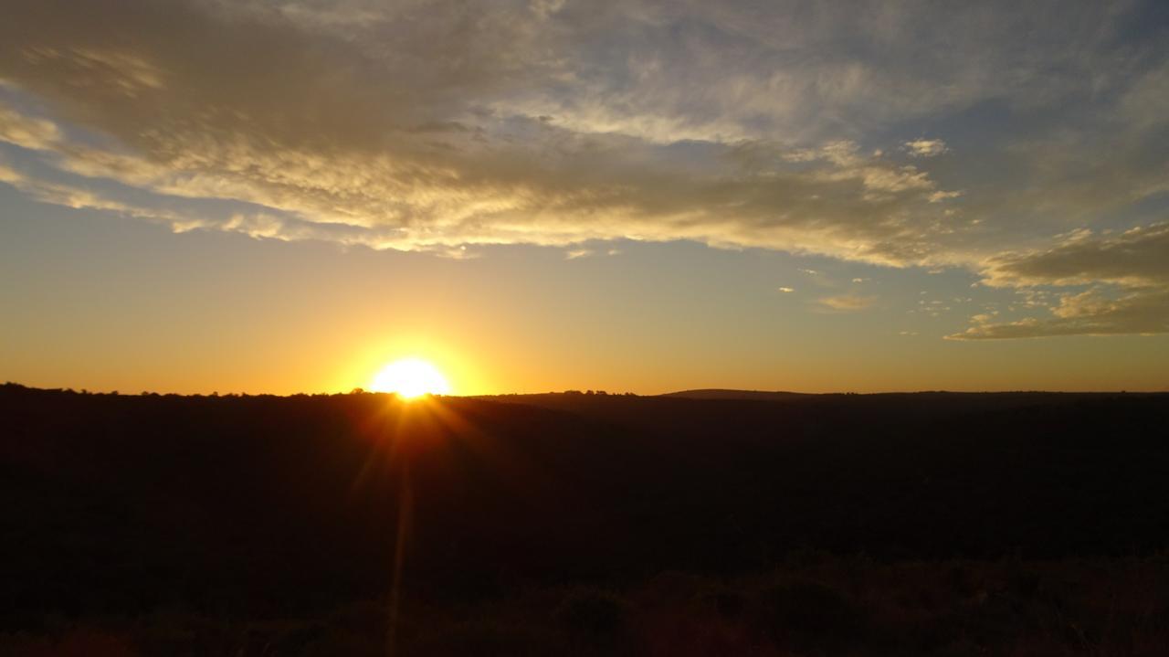 Lalibela Game Reserve Mark'S Camp Grahamstown Luaran gambar