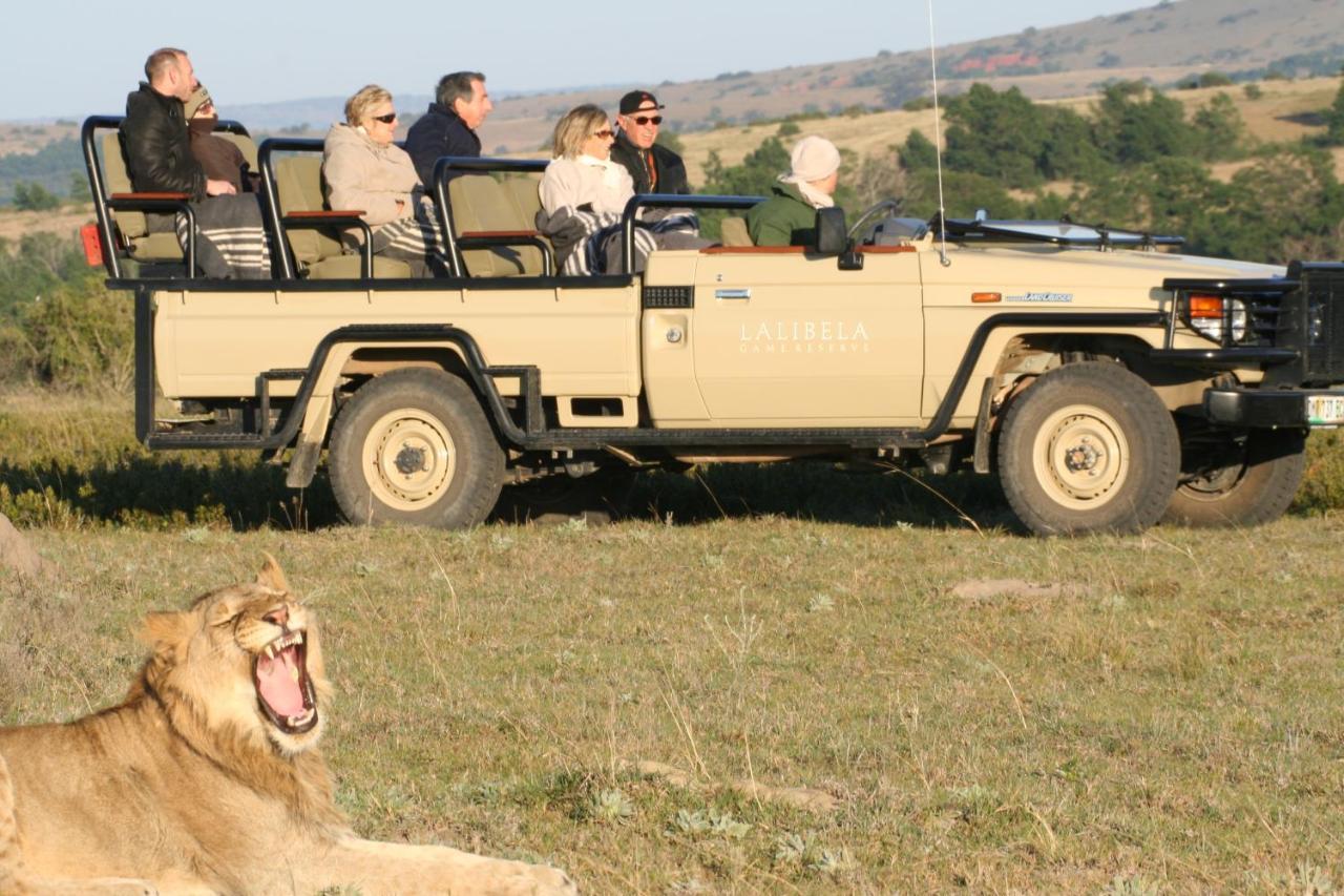Lalibela Game Reserve Mark'S Camp Grahamstown Luaran gambar